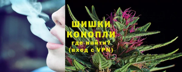 МДПВ Богданович