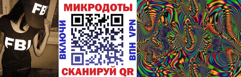 Купить  Богучар  Псилоцибиновые грибы Psilocybine cubensis 